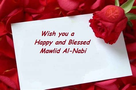 Wish You A Happy And Blessed Mawlid Al Nabi Greeting Card With Rose Flower