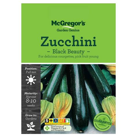 Black Beauty Zucchini Vegetable Seed Fruit And Vegetable Seeds