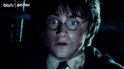 Harry Potter Serinin Tüm Filmleri Blutvde Youtube