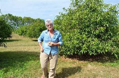 The skin can be finely zested â and added to a fruit salad or juilenned and added to a drink. Achacha fruit: the new superfood