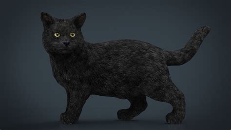Find professional cat 3d models for any 3d design projects like virtual reality (vr), augmented reality (ar), games, 3d visualization or animation. Black Cat 3D asset | CGTrader