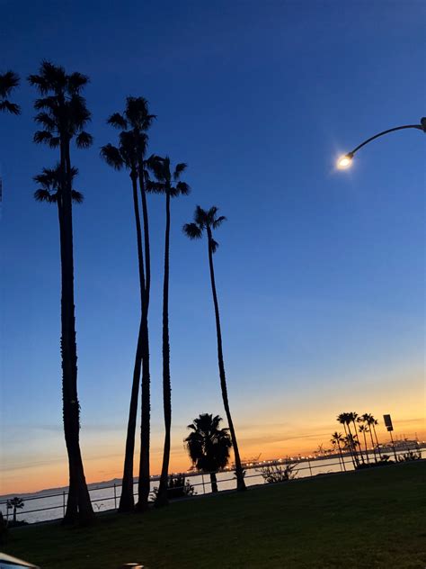 Sunset~ Long Beach Ca 📍palmtrees California Longbeach Photography