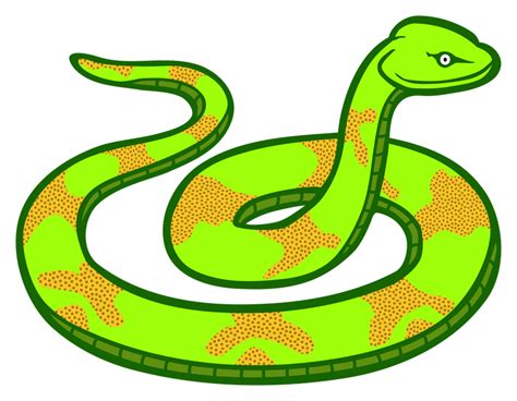 Verde Cartoon Green Snake Png Dibujos Animados De Serpiente Verde