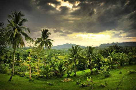 Central Highlands Cebu Island Philippines Photograph By Dale E Daniel