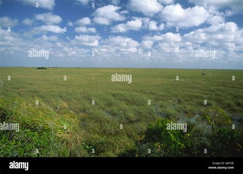 Everglades River Of Grass Florida Usa Stock Photo Alamy