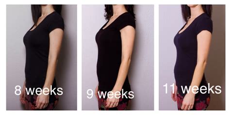 Pregnancy Bump Progression Pregnancywalls