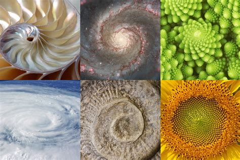 All You Need To Know About The Golden Ratio In Graphic Design