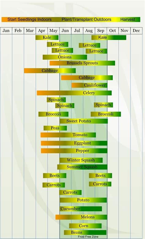 Monthly Gardening Calendar Zone 8 Vegetable Planting Calendar When