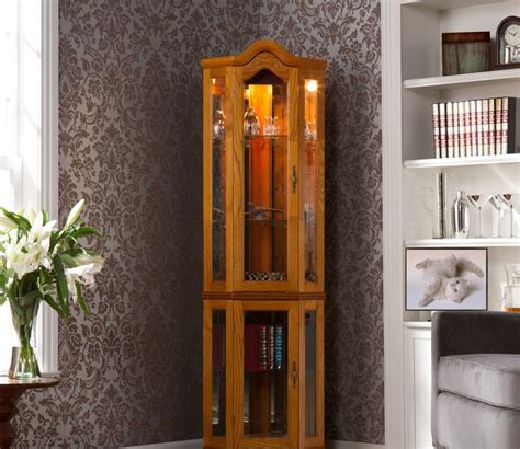 Elegant Corner Curio Cabinet Ikea Homes Furniture Ideas