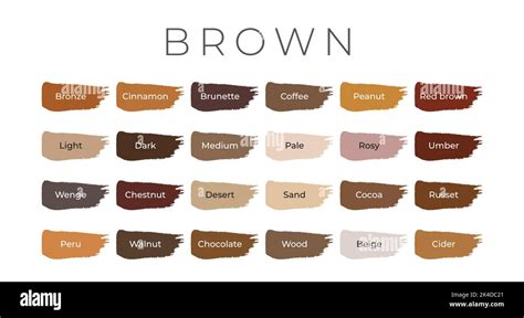Shades Of Brown Color Samples Stock Vector Images Alamy
