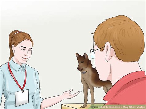 Currently, it takes about 6 months to a year to get u.s. How to Become a Dog Show Judge (with Pictures) - wikiHow
