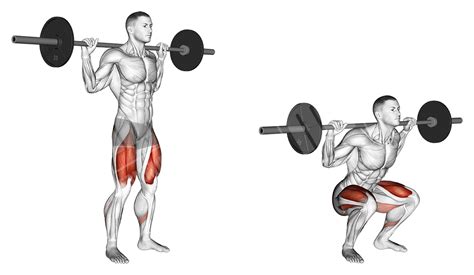 Lower Body Barbell Workout Meanmuscles