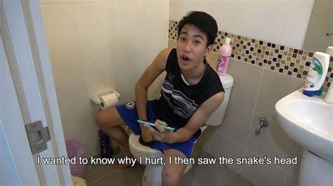 Mans Penis Bitten By 4 Foot Snake While Sitting On Toilet