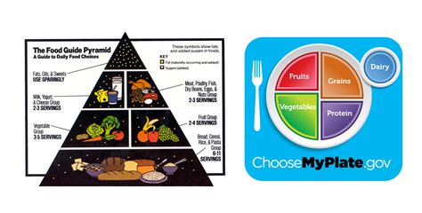Buy fruits that are dried, frozen, canned, or fresh, so that you can always have a supply on hand. Replacing the Food Pyramid with MyPlate - Part 2 ...