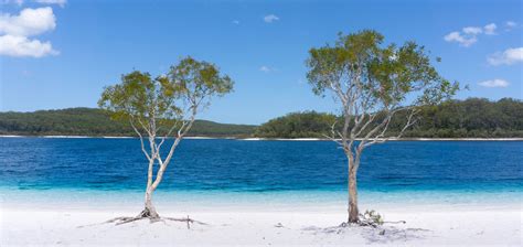 Itinerary The Best Of The Fraser Island Great Walk