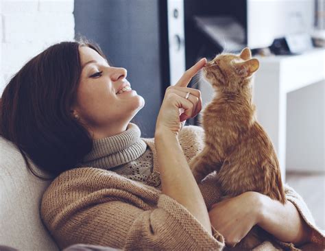 Research Proves That The ‘crazy Cat Lady Stereotype Is False