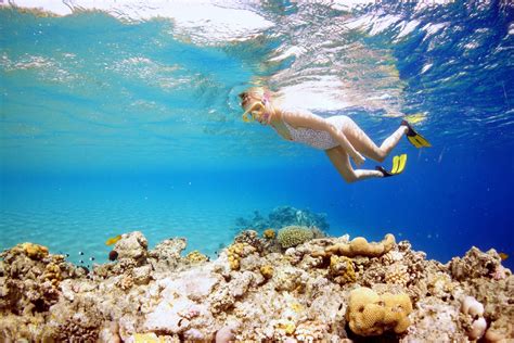 Snorkeling Vs Scuba Diving Similarities And Differences