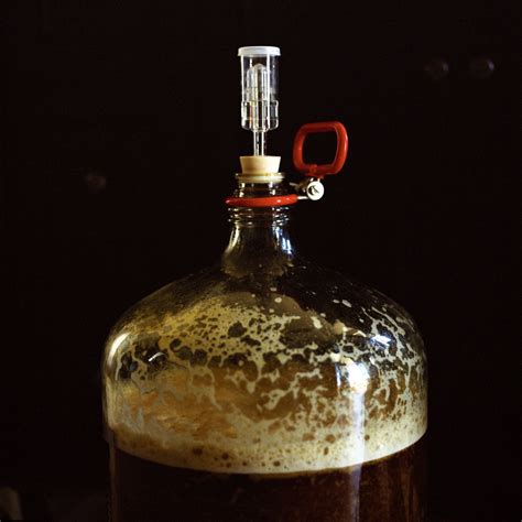 Fermentația Alcoolică și Ce Trebuie Să Facem Pentru A Obține O Băutură