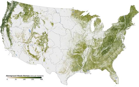 Forested Area In The Us