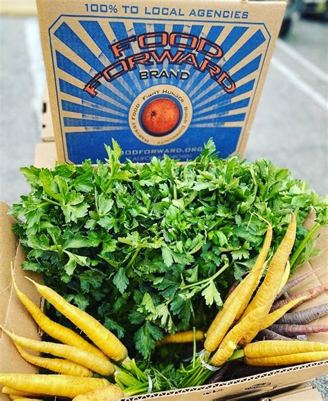 Immanuel Presbyterian Church