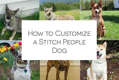 How To Customize A Stitch People Dog Stitch People Blog