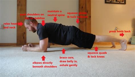How To Do The Plank Exercise Correctly Exercise Poster