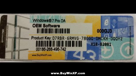 Serial Key Of Windows 7 Professional Treeig
