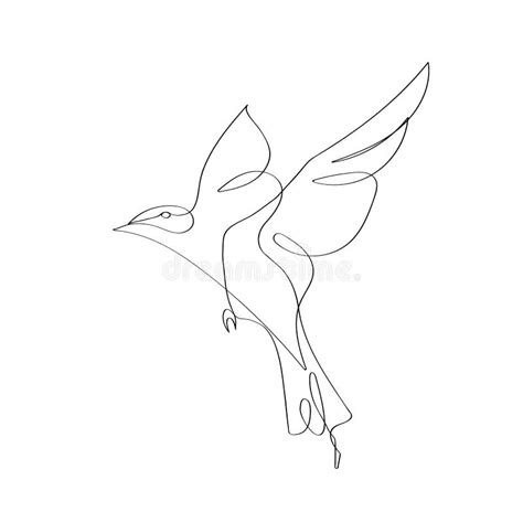 Illustration Of A Birdline Art Print Stock Vector Illustration Of