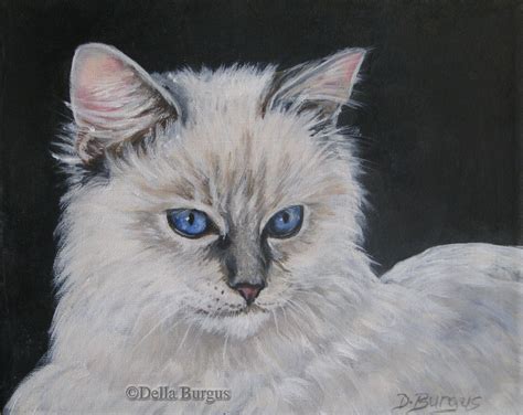 Art Helping Animals Ragdoll Cat Portrait By Della Burgus