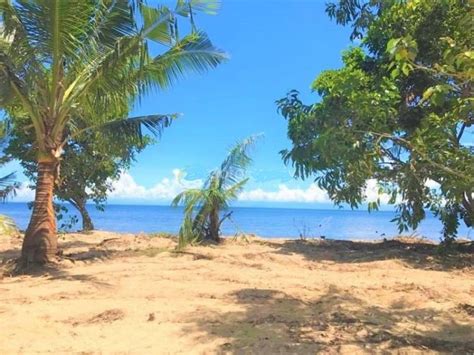 Beachfront Lots For Sale At Playa Laiya San Juan Batangas