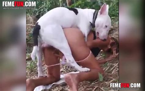 Dog Xxx Sex Sexy Wife Engaging In Hardcore Beastiality Sex Outdoors