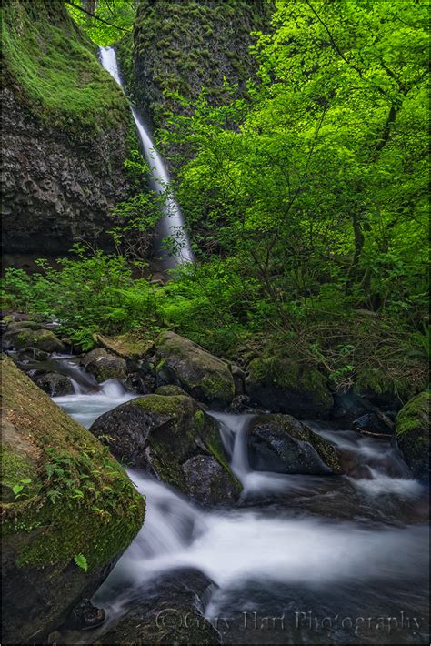 Upper Horsetail Fall Columbia River Gorge Landscape And Rural Photos Gary Harts Eloquent Images