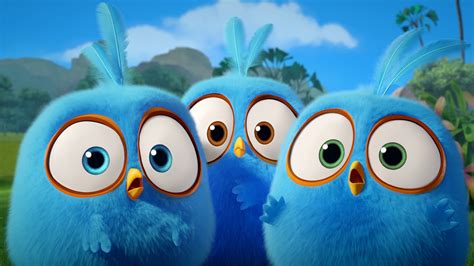 Angry Birds Blues Series Premiere Date Set On Rovios Toonstv Variety