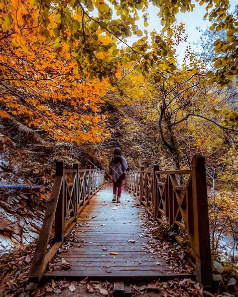 🇹🇷 Autumn Walk Bursa Turkey By Adem Barış Admbrs On Instagram Cr