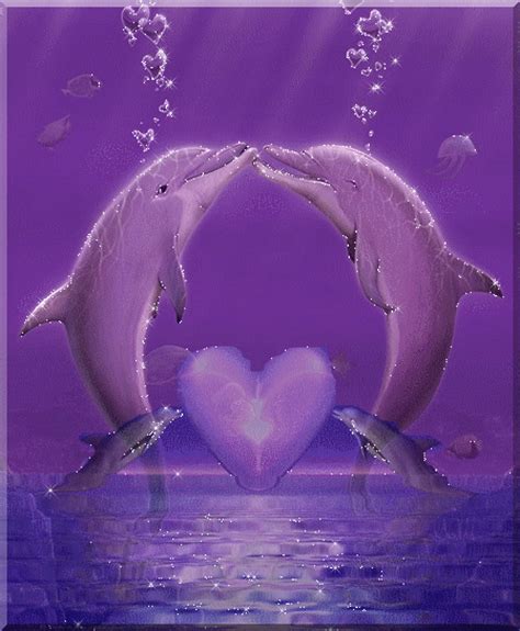 Dolphins In Love Love