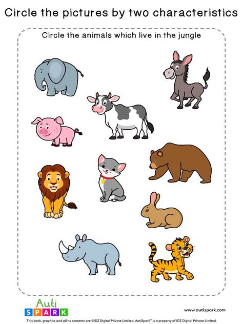Circle Pictures By Characteristics 09 Sorting Worksheet Autispark