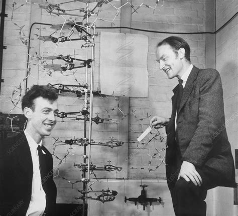 Watson And Crick With Their Dna Model Stock Image H4000040