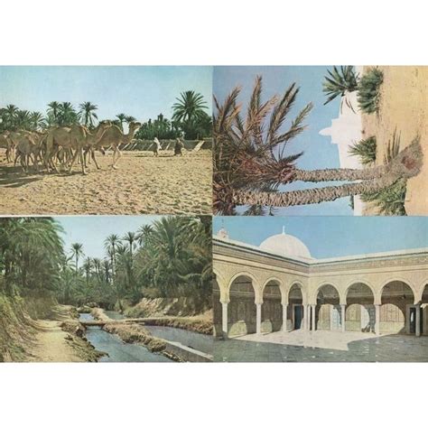 Gabes Gafsa Oasis Kairouan Djerba 4x Tunisie Postcard S On Ebid Ireland