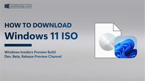 How To Download The Latest Windows 11 Insider Iso File Windowstip