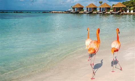 Tourisme à Palmeagle Beach 2023 Visiter Palmeagle Beach Aruba