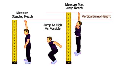 How To Measure Vertical Jump With Or Without Equipment2022