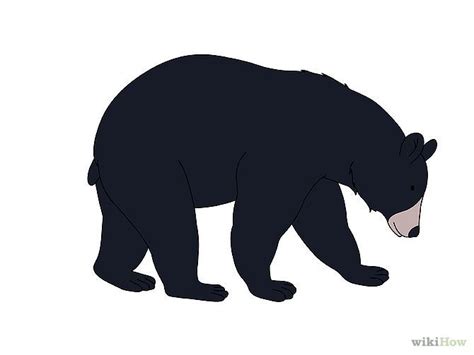 How To Draw A Black Bear 6 Steps With Pictures Wikihow Bear