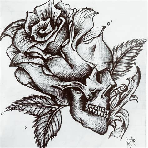 Pencil Skull And Rose Drawing