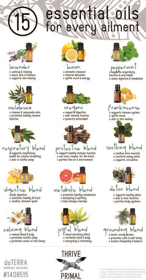15 Essential Oils For The Most Common Ailments And Health Conditions