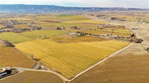 Irrigated Farm Land For Sale