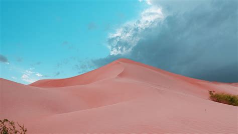 Download Wallpaper 3840x2160 Desert Dunes Sand Bushes Trace 4k Uhd