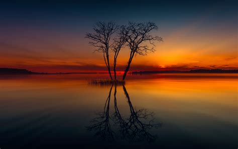 3840x2400 Horizon Lake Nature Reflection Sunset Tree 4k Hd 4k