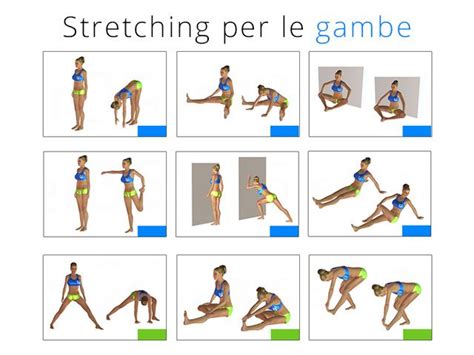 Stretching Per Le Gambe Esercizi Di Allungamento Esercizi Esercizi