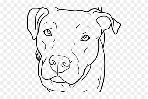 Cómo Dibujar Un Perro Pitbull Unsplassh
