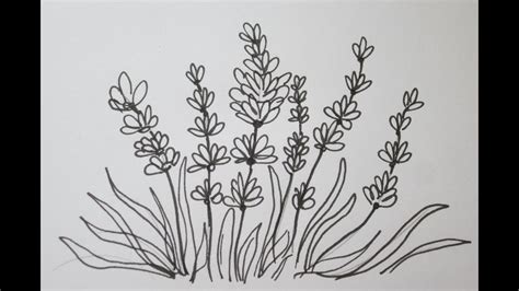The Easy Way To Draw A Lavender Flower Youtube